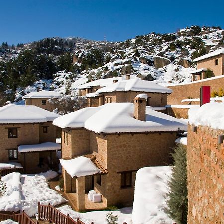 Pliadon Gi Mountain Resort & Spa Kato Sinikia Trikalon Екстериор снимка