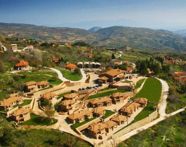 Pliadon Gi Mountain Resort & Spa Kato Sinikia Trikalon Екстериор снимка