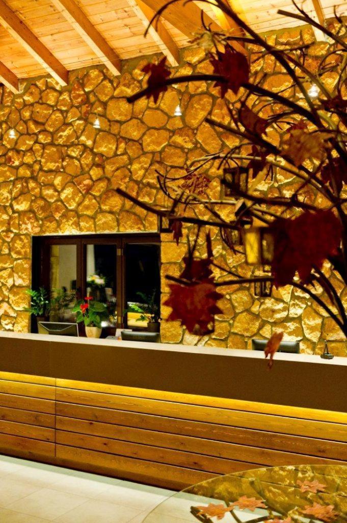 Pliadon Gi Mountain Resort & Spa Kato Sinikia Trikalon Екстериор снимка